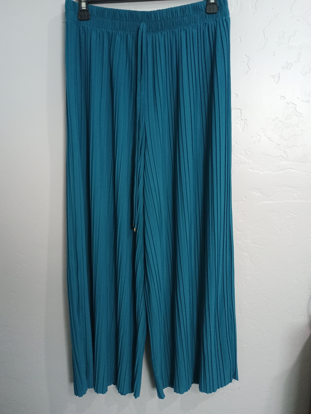 Pleated Wide-Leg Pants in Teal